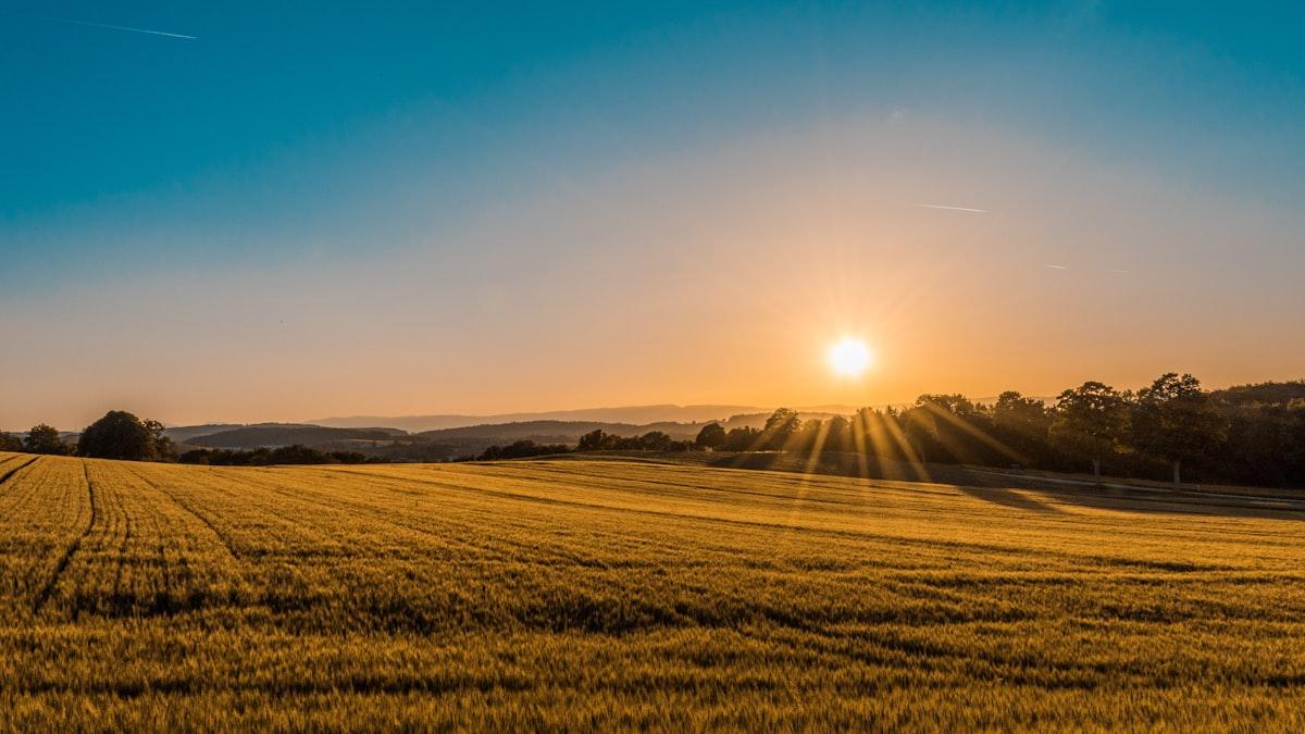 Agricultural & Farm Operations